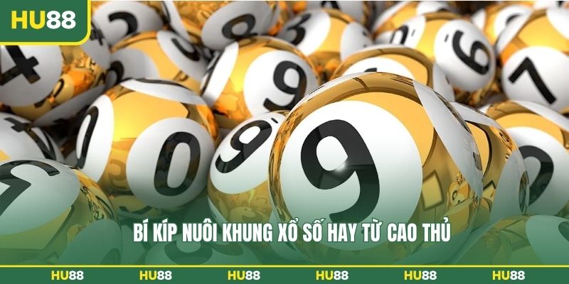 Bí kíp nuôi khung xổ số hay từ cao thủ