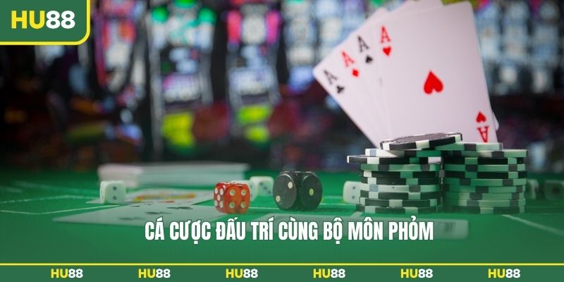 Cá cược đấu trí cùng bộ môn phỏm